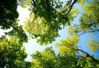 Синоптиктер 1 шілдеге арналған ауа райын болжады