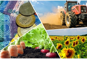 Фермерлерді субсидиялаудың жаңа жүйесі іске қосылады