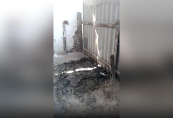 Мақтаарал тұрғыны ауласынан адам сүйегін тауып алды