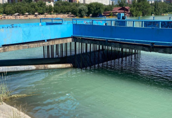 Кишечную палочку нашли в алматинском озере Сайран