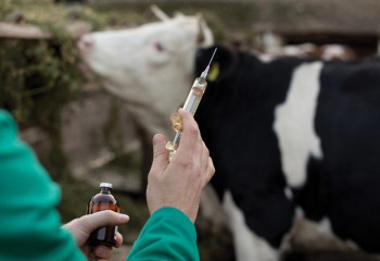 СҚО-да бір ауылға карантин орнады