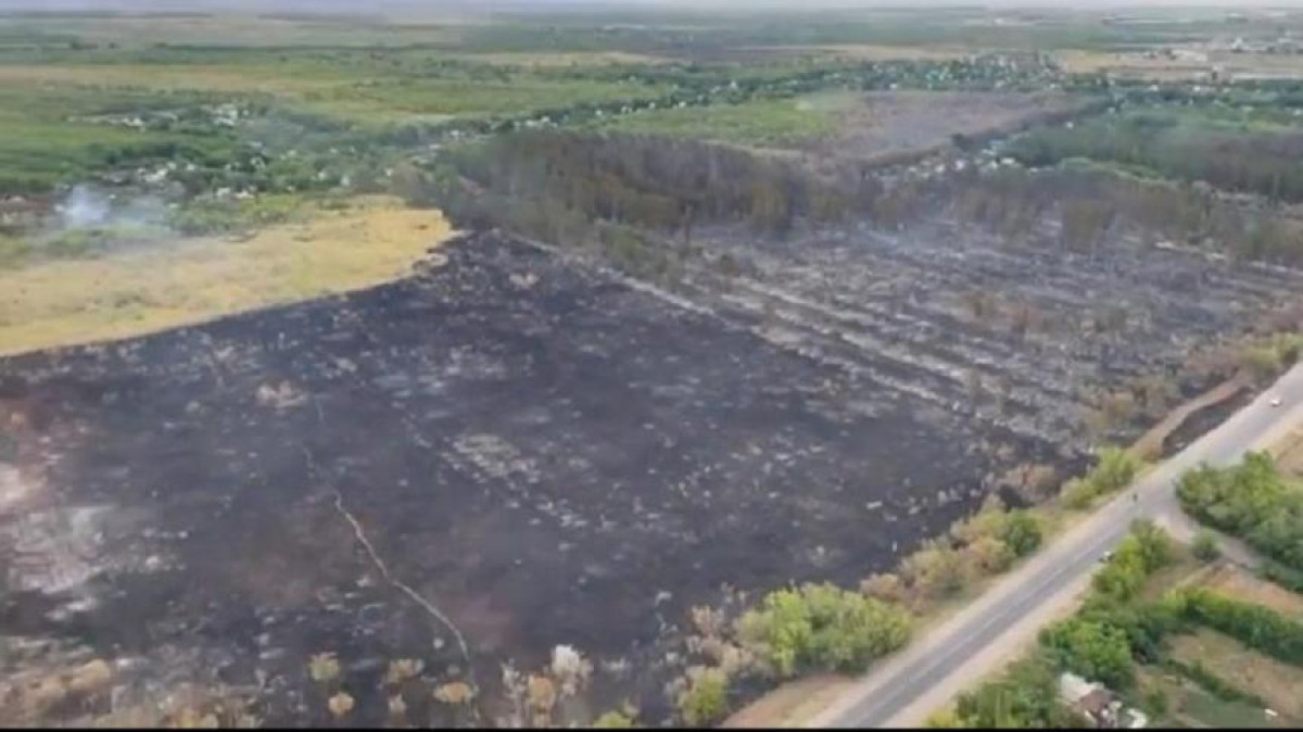 40 гектаров леса уничтожил пожар в Караганде