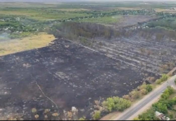 40 гектаров леса уничтожил пожар в Караганде