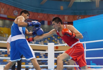 Елорда кубогында  қазақстандық 54 боксшы сынға түсті 