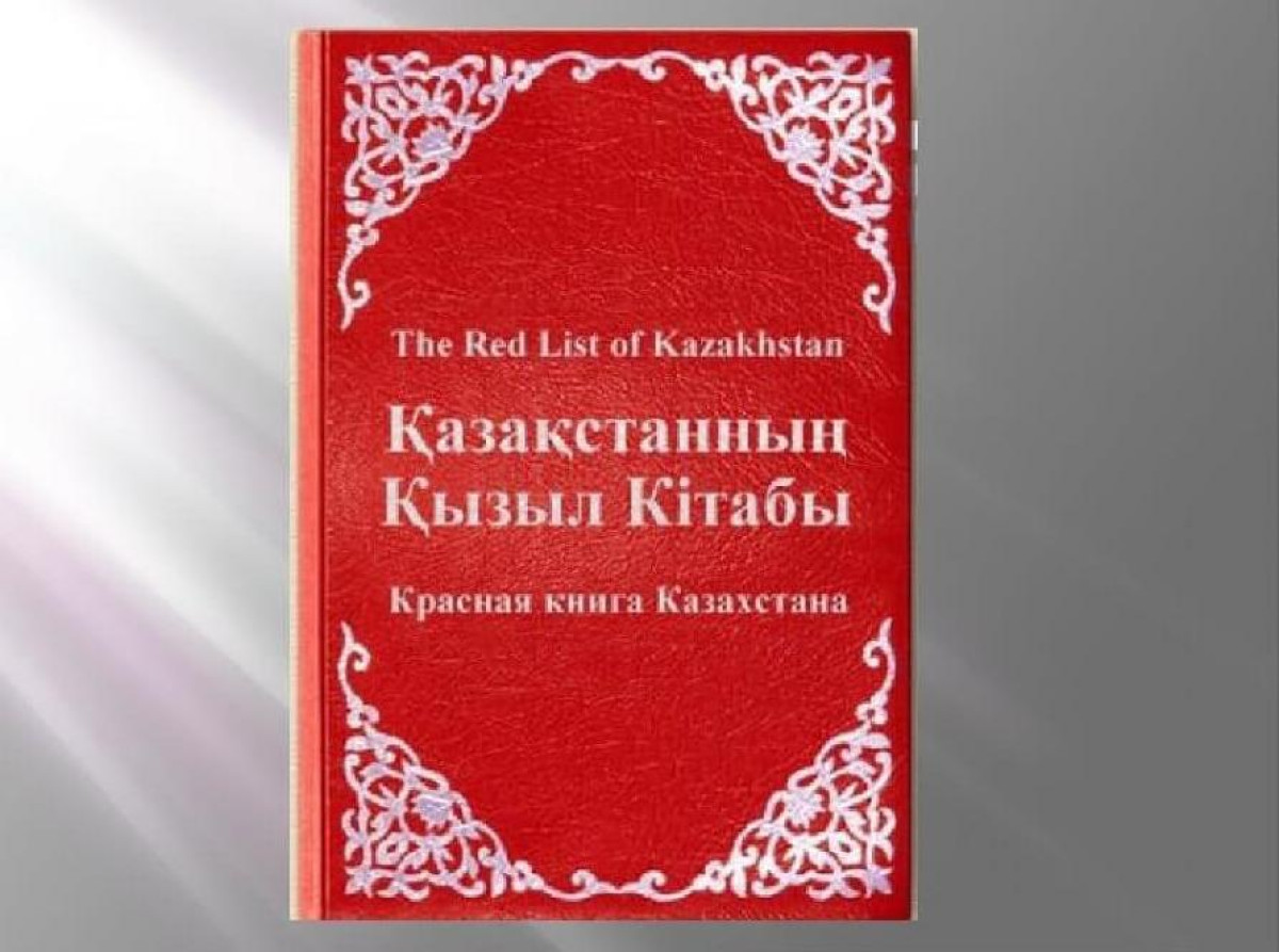 Красная книга казахстана презентация