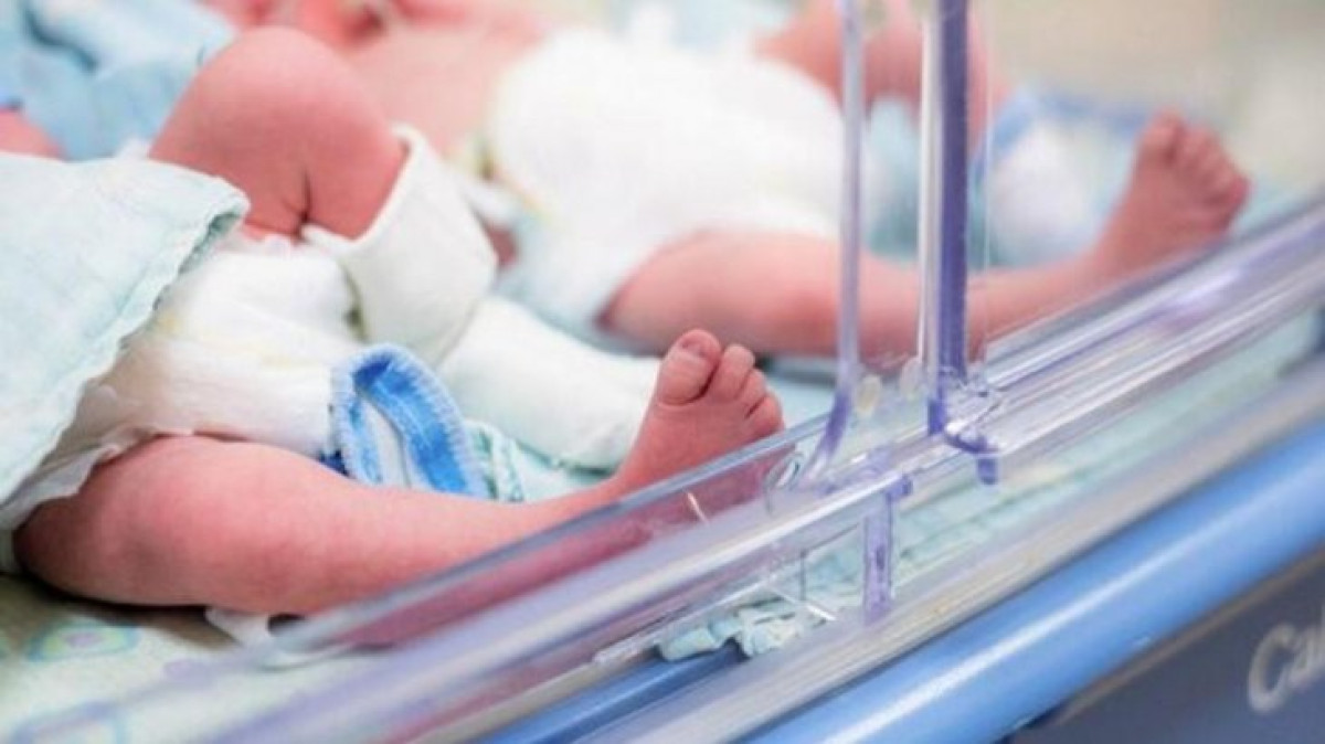  ашық дереккөз 