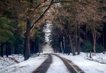 Град выпал в Акмолинской области