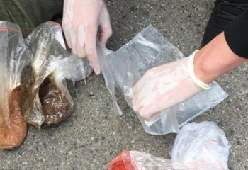 О ликвидации крупной наркогруппировки сообщили в КНБ РК