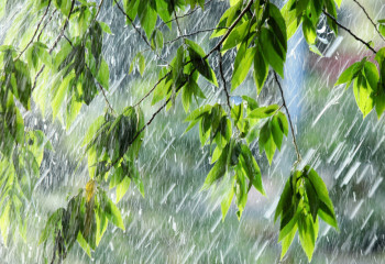 Қазақстанның бірнеше өңірінде жел тұрып, жаңбыр жауады