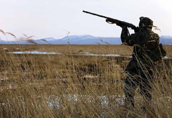 Әуесқой аңшыларға киік атуға рұқсат берілмейді