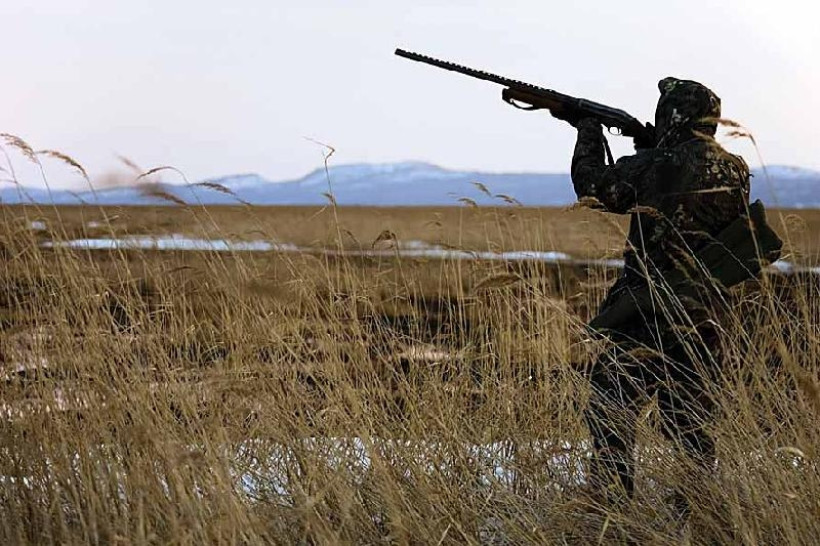  ашық дереккөз 