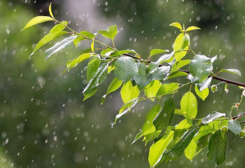 Жұма күнгі күн райы болжамы