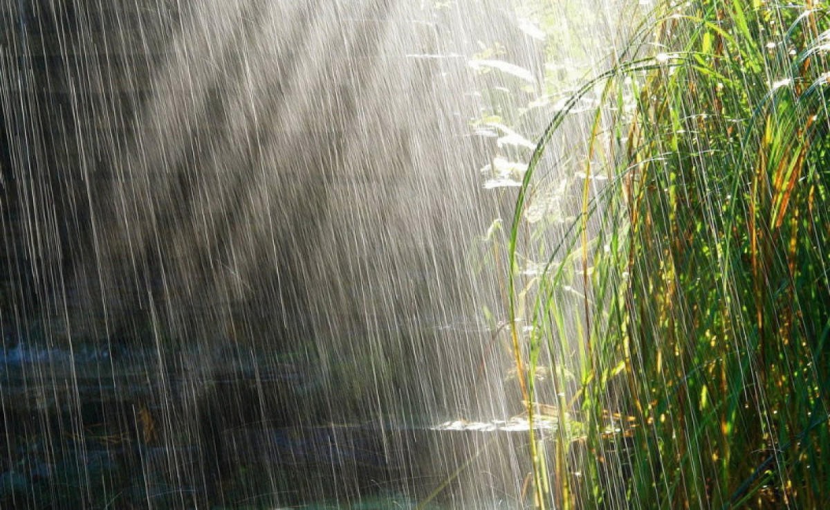  ашық дереккөз 