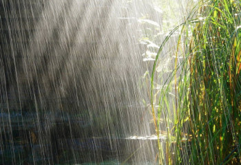 Елімізде алдағы үш күнде жаңбыр жауады