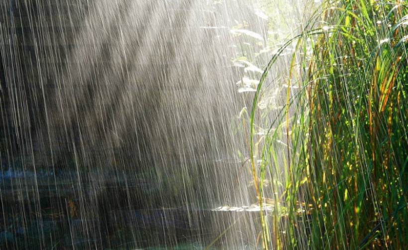  ашық дереккөз 