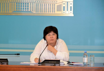 Әзімова заңдарға жасалып жатқан реформалар туралы брифинг өткізді