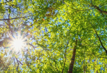 Төтенше жағдайлар департаменті ауа райына байланысты ескерту жариялады