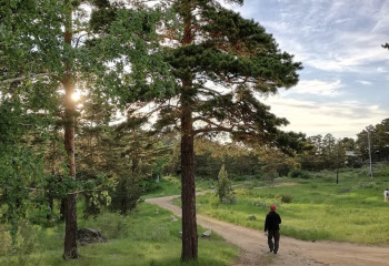 Development of rural tourism is a driver of country's economic growth - expert