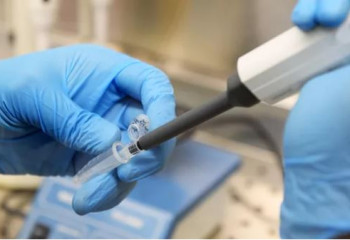 Ресейде маймыл шешегін жұқтырудың алғашқы дерегі тіркелді