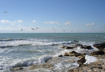 Каспий теңізінің жағалауын тексеру жұмыстары күшейтілді