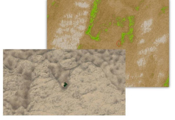 Еліміздің 5 өңірінен есірткі алқаптары анықталды