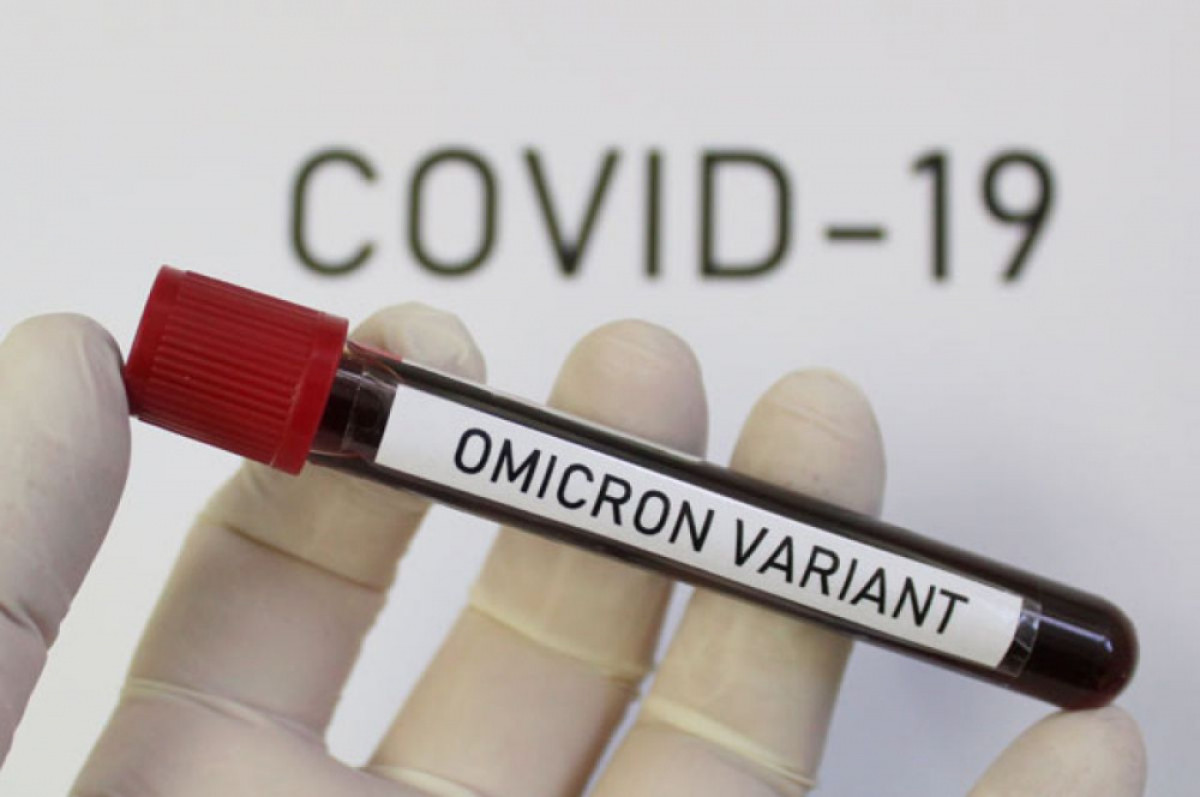 Мутацию коронавируса "Кентавр" обнаружили в Нидерландах