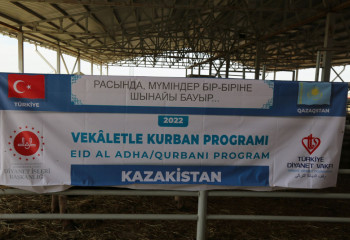 Бауырлас Түркия халқы еліміздегі 3 мыңға жуық азаматқа көмек көрсетті