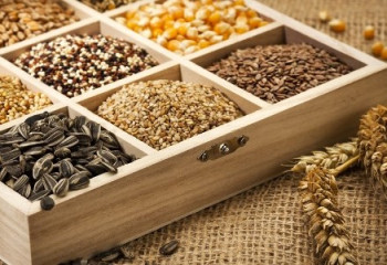 Ситуация с семенами  - МСХ разработает целую стратегию 