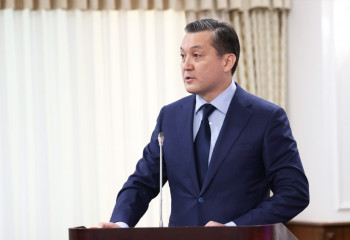 Брекешев просит выделить финансирование на исследование ситуации с сайгаками