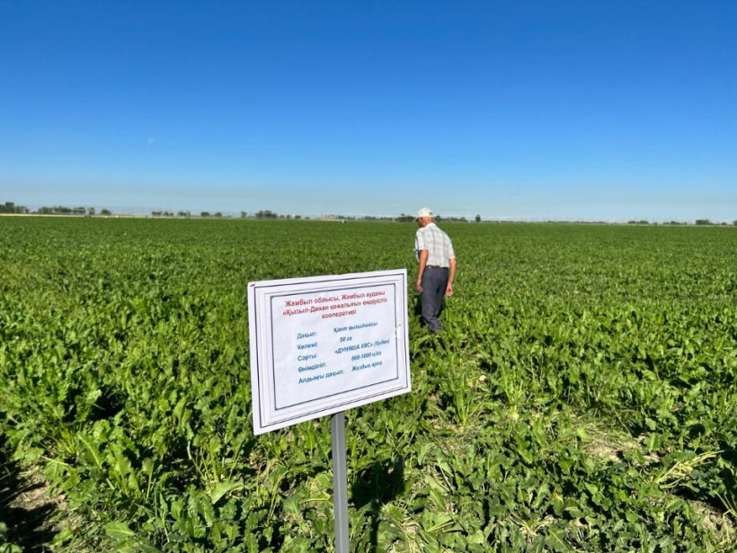  Минсельхоз 