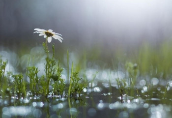 19 шілдеге арналған ауа райы болжамы