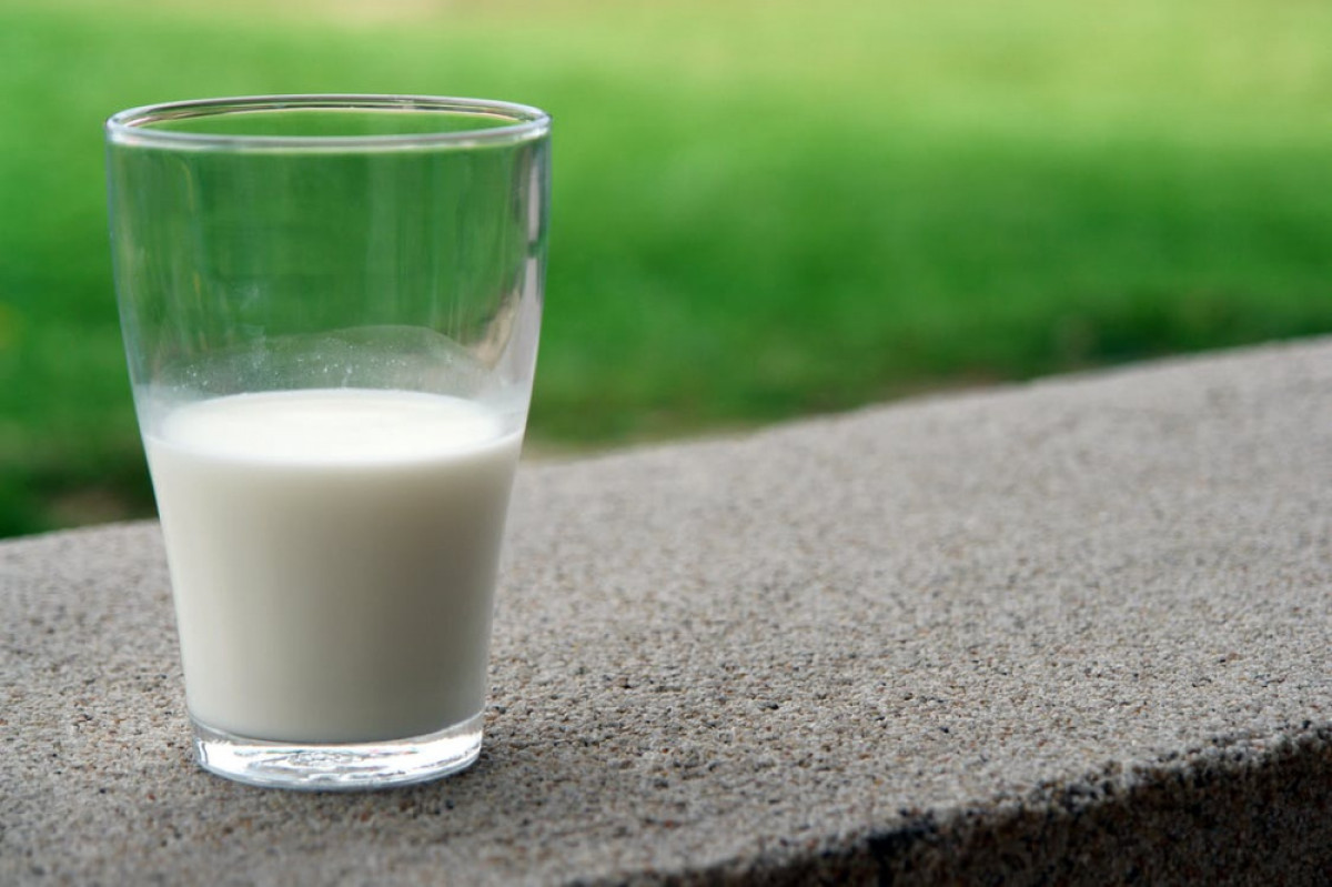 Молоко подорожало на 22% в Казахстане
