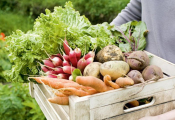 Минторг призвал акиматы уже сейчас контрактовать объемы урожая 2022 года