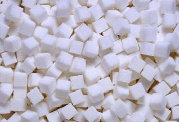 Жүгері қанты. Қант тапшы, тапқан айла осы болды