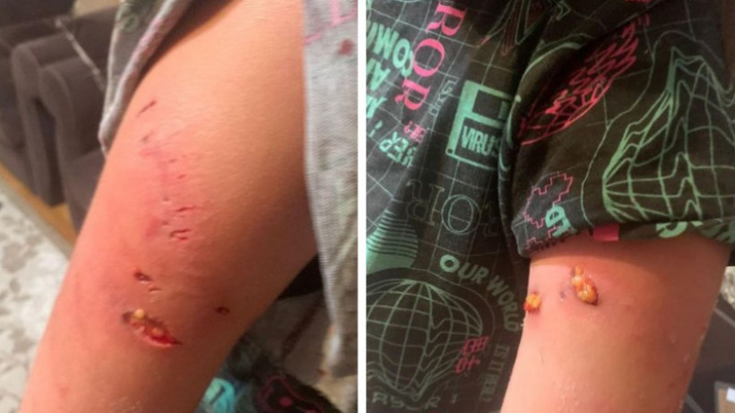  t.me/patriot_patriot 