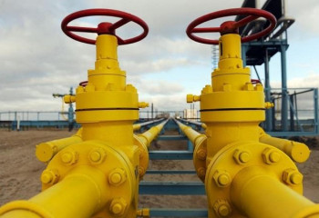 Токаеву доложили  о 