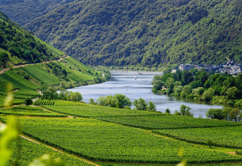 Пандемияда 1,7 млн жұмыс орны босап қалды