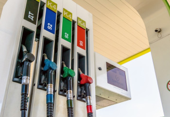 Два человека скончались в очередях за топливом на Шри-Ланке