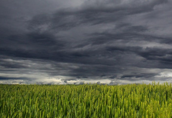 Штормовое предупреждение объявлено в 13 областях Казахстана