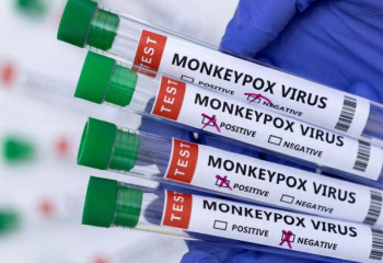 Маймыл шешегі. ДДСҰ төтенше жағдай жариялады