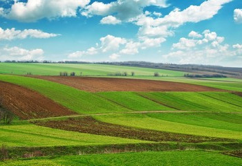 Свыше 60 тысяч га пустующих земель обнаружили в Кызылординской области