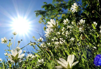 Еліміздің бірқатар өңірінде аптап ыстық болады