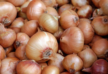 Елімізде пияз бағасы екі есе арзандады – министр 