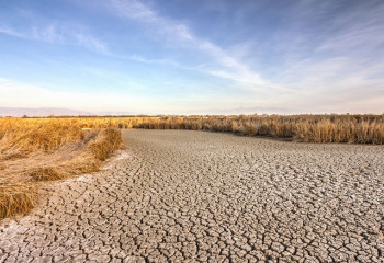 Казгидромет опубликовал прогноз засухи на август