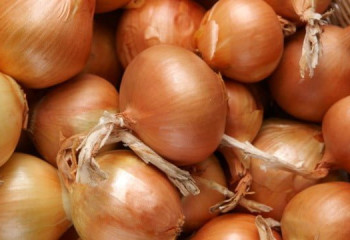 Запрета на экспорт лука нет - МТИ