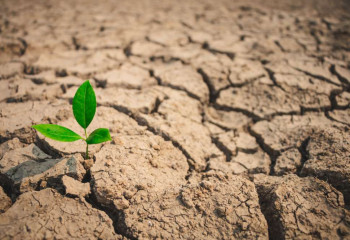 Қазгидромет тамыз айына арналған құрғақшылық болжамын жариялайды