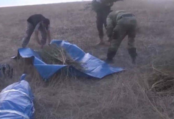 267 кг марихуаны изъяли у двух мужчин в Шуйской долине – видео