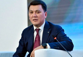 Aудан әкімдерін де халық өзі сайлайды – Ерлан Қарин