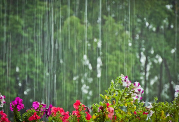 Күн суытып, жаңбыр жауады - Қазгидромет