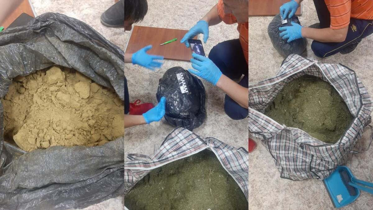 41 кг наркотиков изъяли в Костанайской области - видео